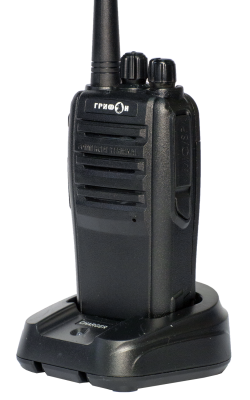 g-310